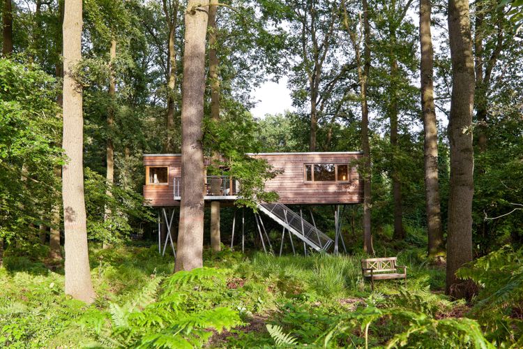 Resort Baum­ge­flüster
