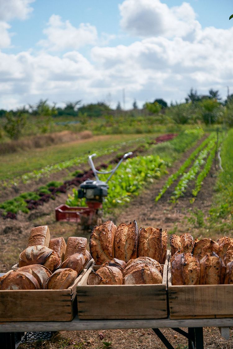 La Ferme de Brouage