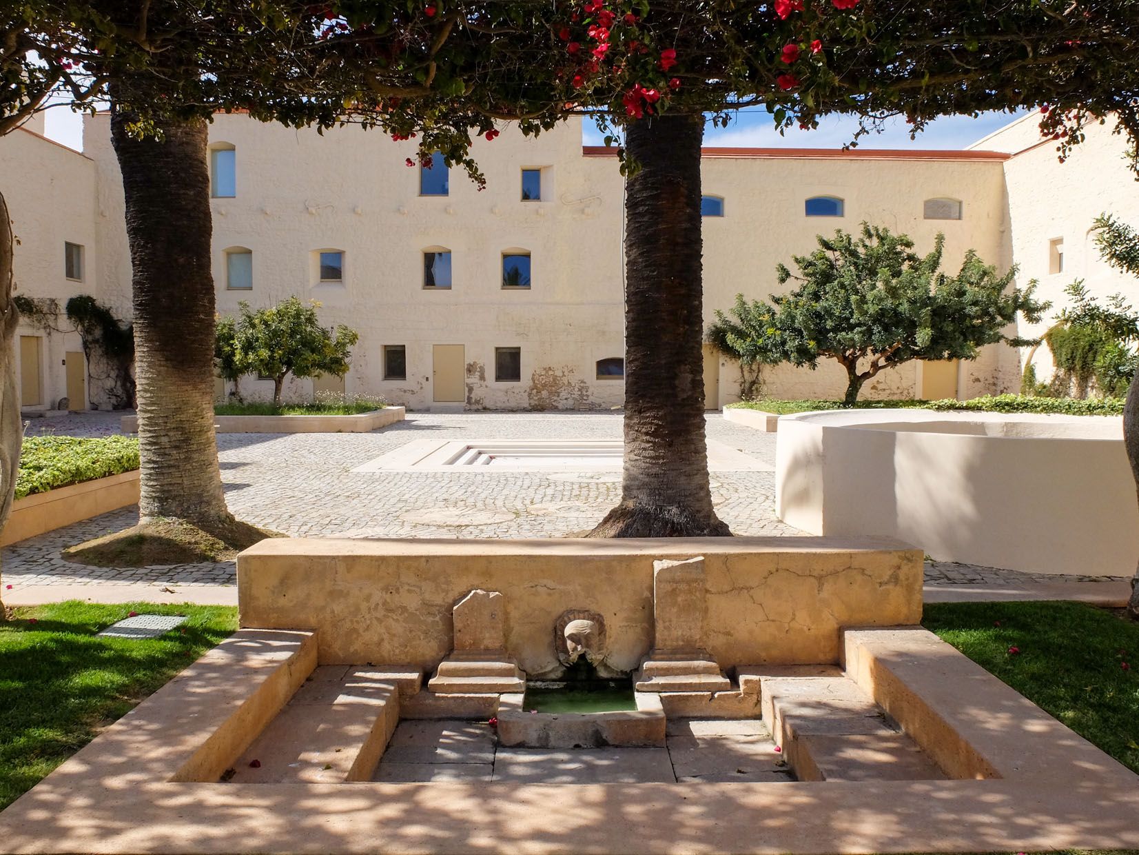 casa2020_030_04-11-2024