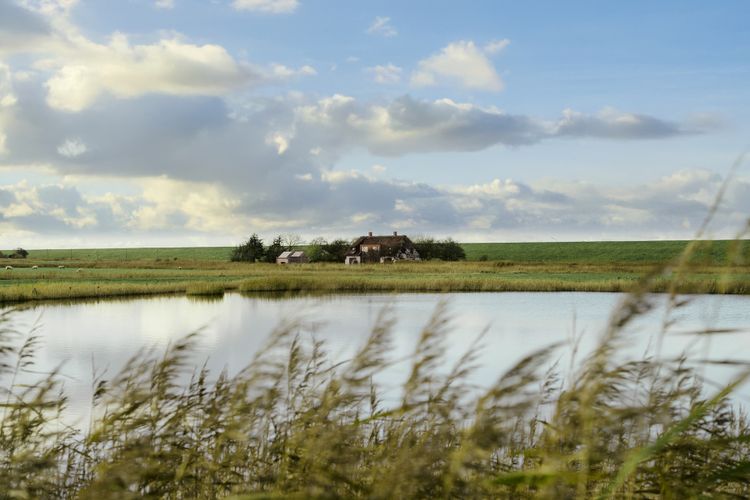 nor­der­diekhuus