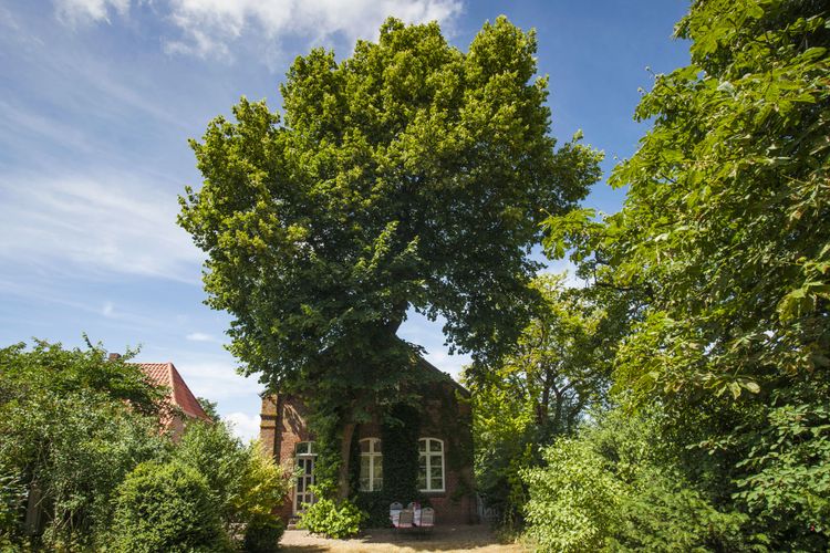 Harm­school