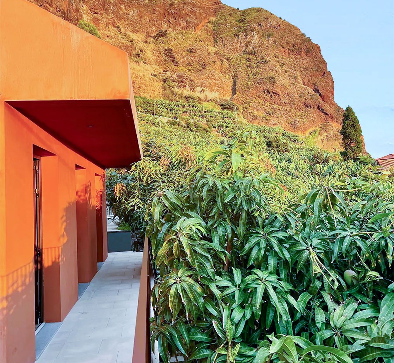 banana house