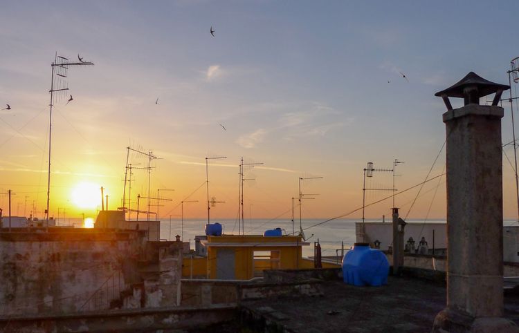 Vico Fis­caiolo