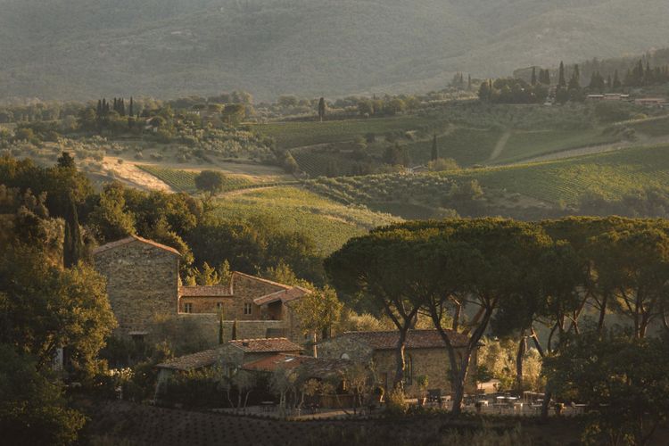La Darbia in Chianti