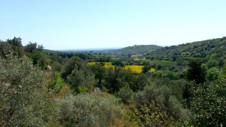 La Mela­grana