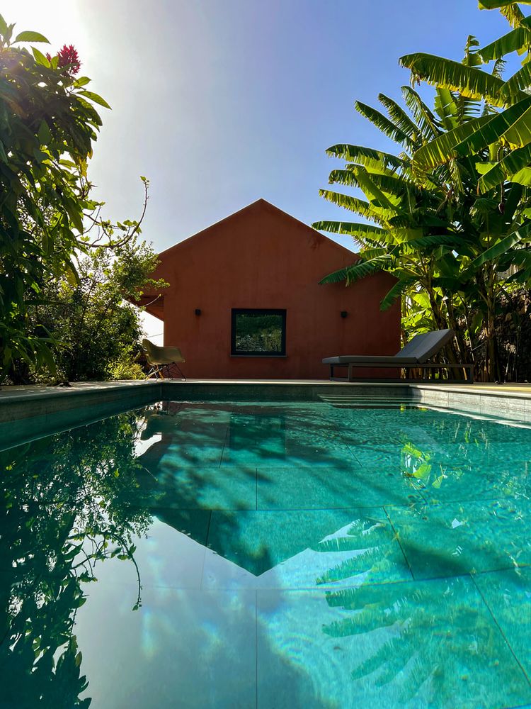 The Banana House