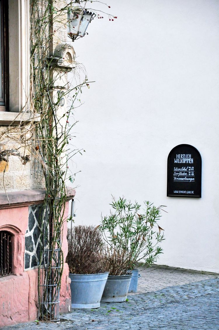 Scho­ckelgaul