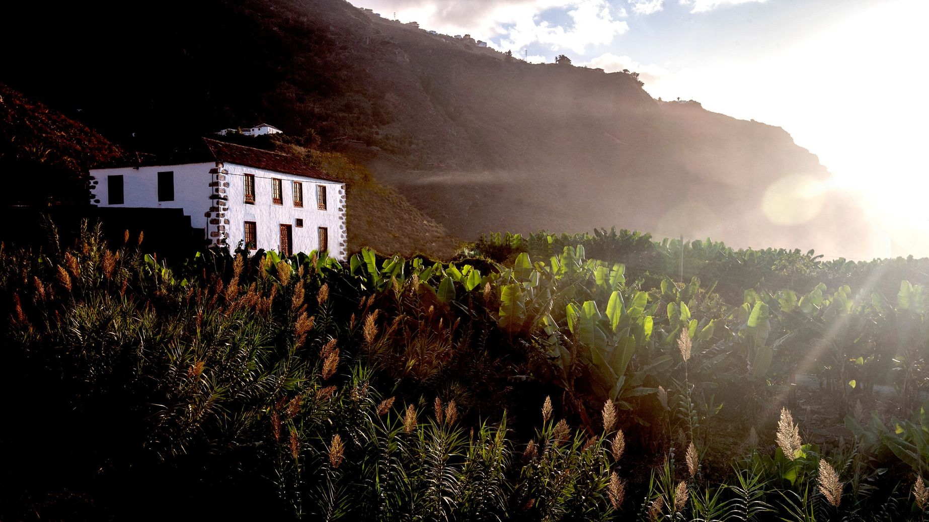 Hacienda Cuatro Ven­tanas