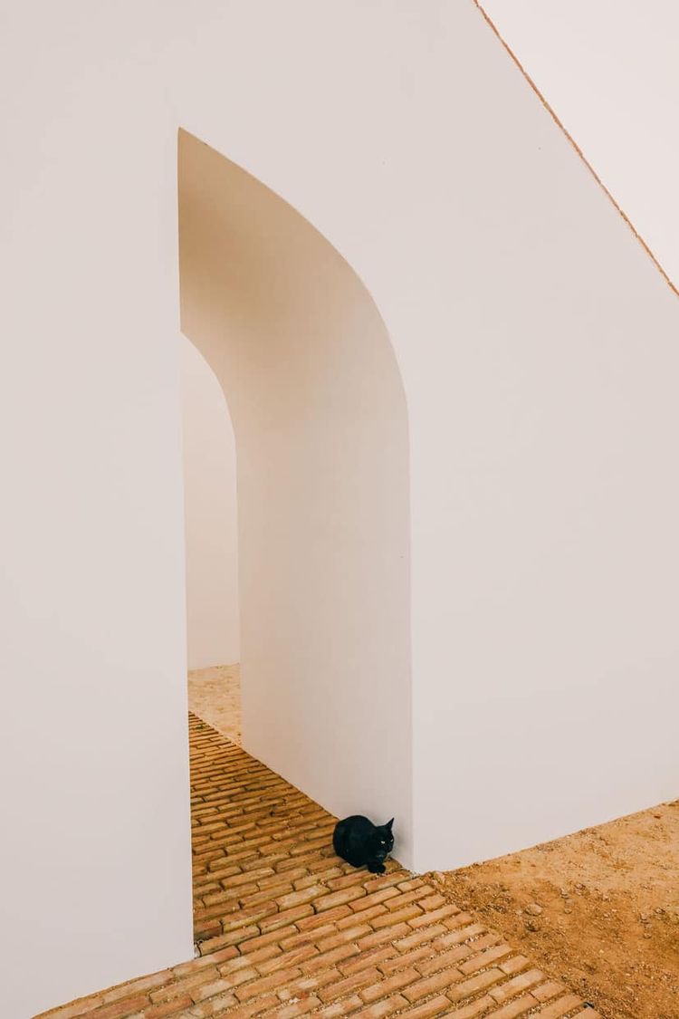 Casa Modesta