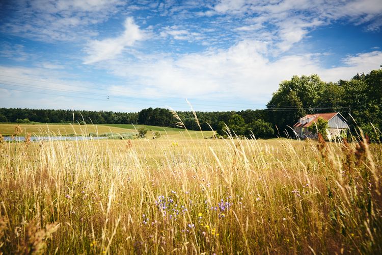 Das Studio Uckermark