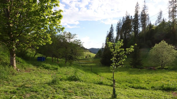 Am frü­heren Sei­ler­han­senhof