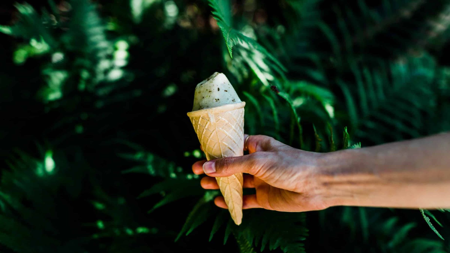 Nach­hal­tiges Reisen – Von Bio-Duschgel und drei Kugeln Eis