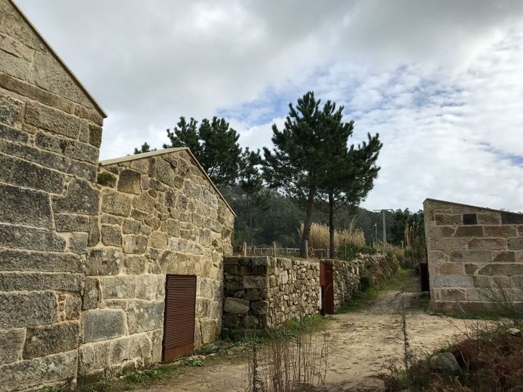 Camino de Playa