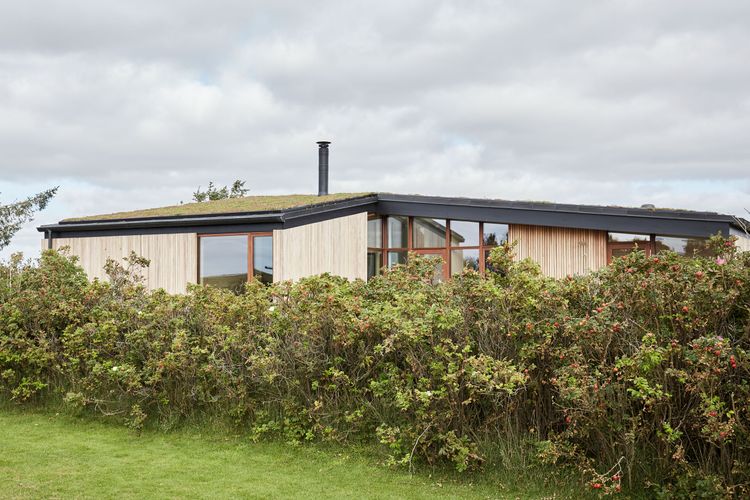 The Frame House