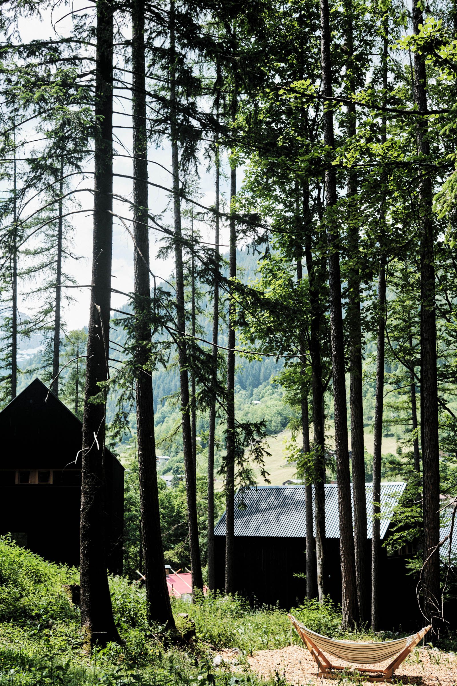 waldchalets bradnertal