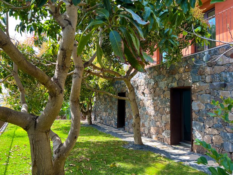 The Banana House