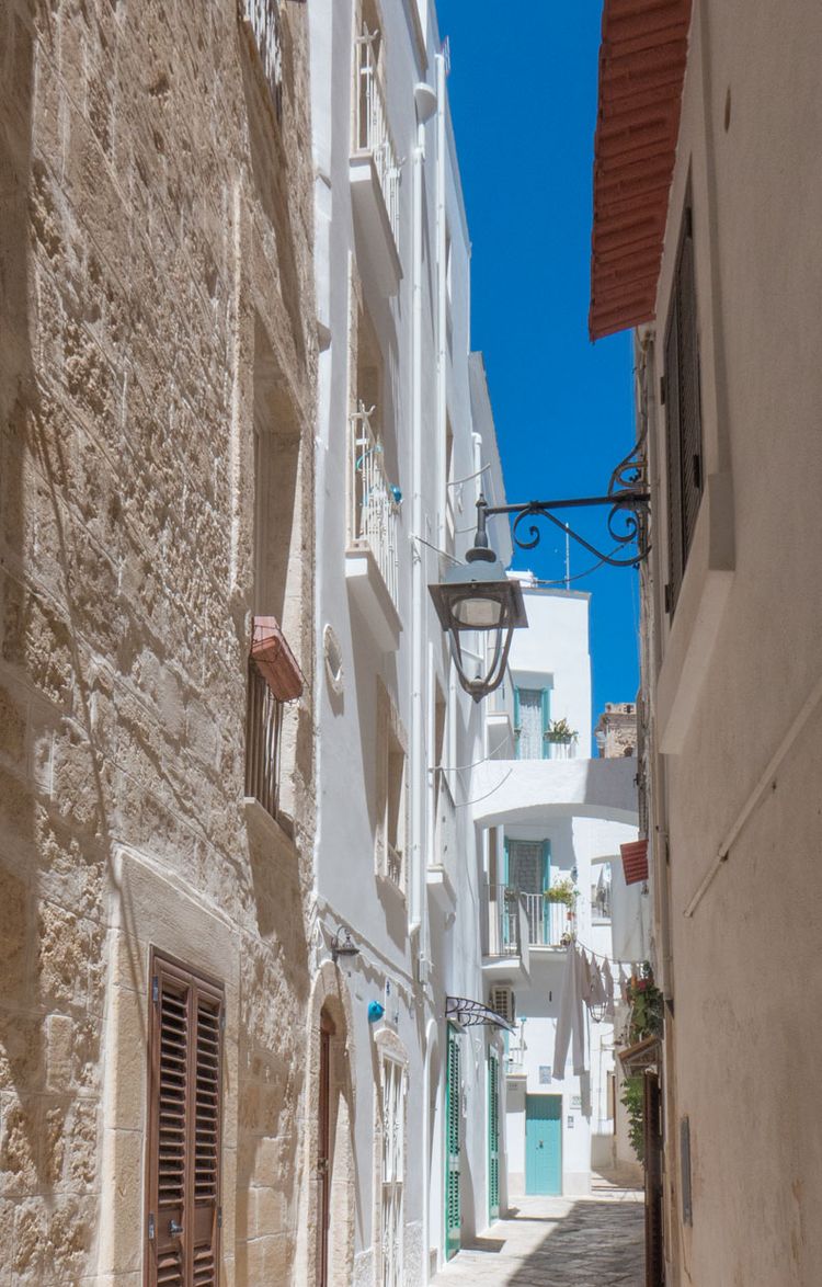 Vico Fis­caiolo
