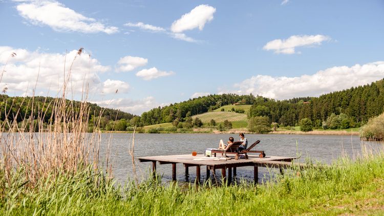 Altes Gewächshaus am Spie­gelsee