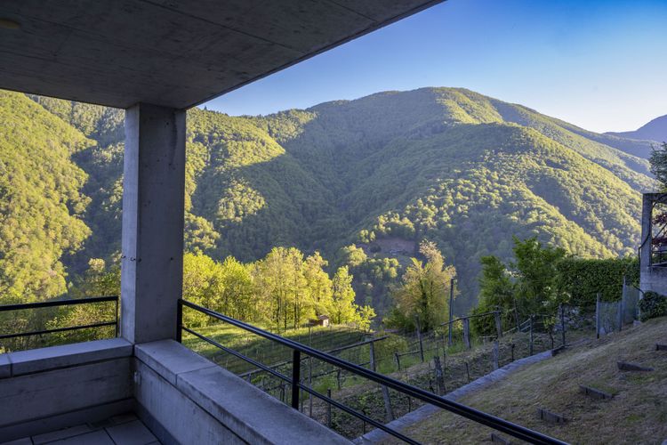 Casa Walser