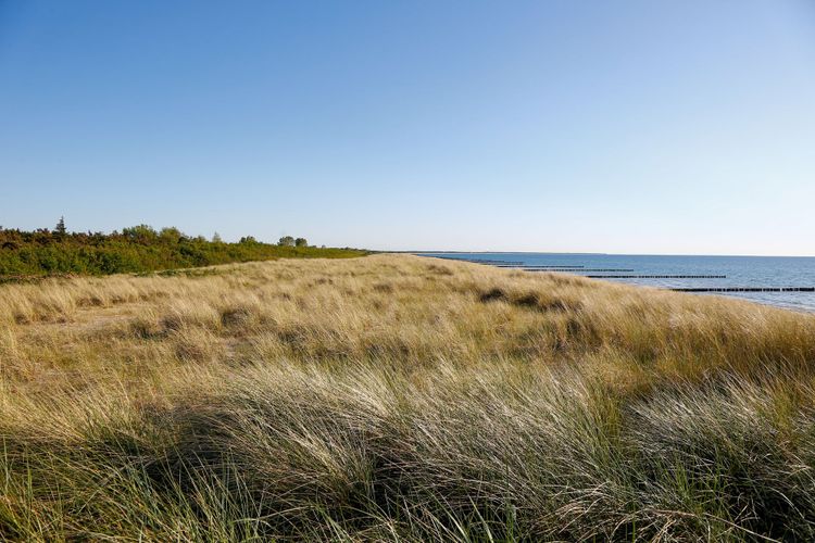 Strandhaus fünfzehn