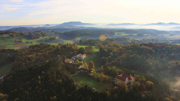 Altes Gewächshaus am Spie­gelsee