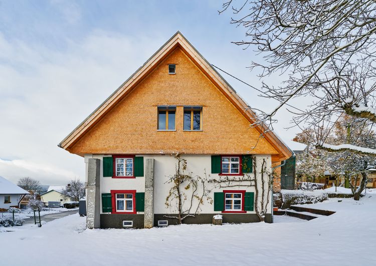 schel­lisvier