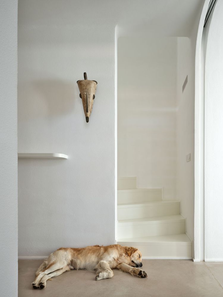 House Oskar