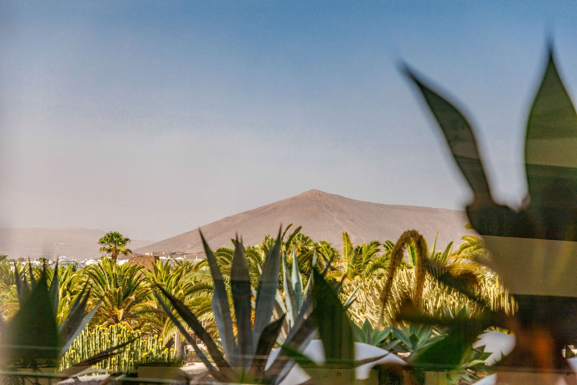 Der Totalkünstler: Auf den Spuren des Gestalters und Aktivisten César Manrique auf Lanzarote