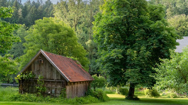 Feri­en­woh­nungen Mit­ter­murnthal