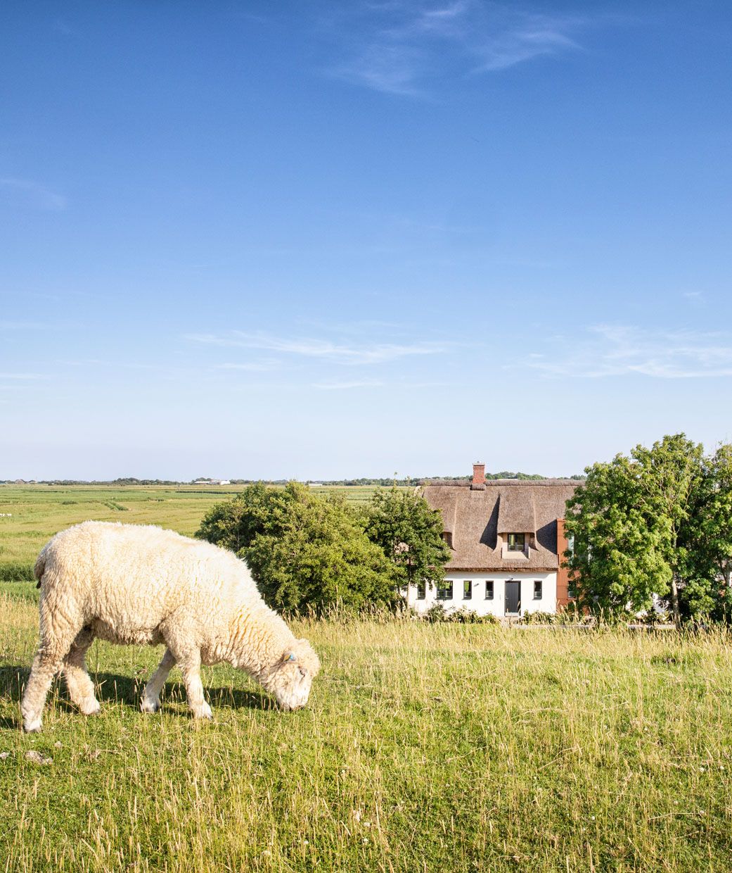 niederdiekhuus_004