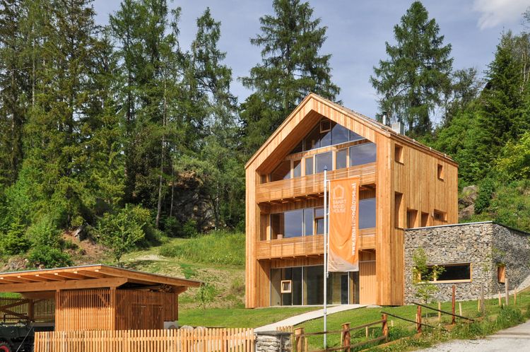 Smart Wood House