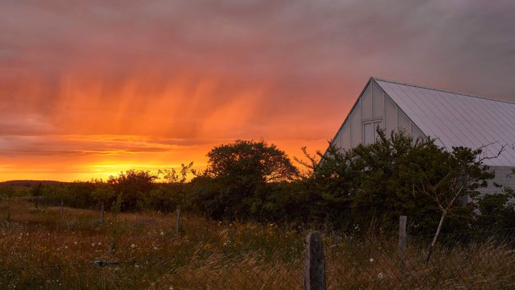 Das Glashaus in der Uckermark