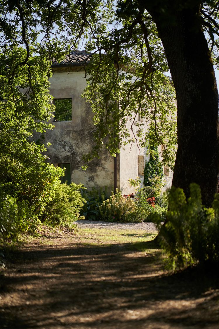 Casale di Cellole