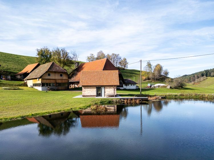Backhaus
