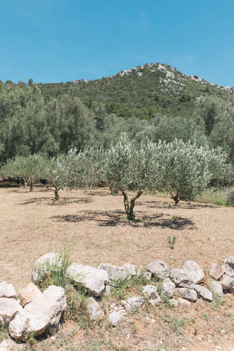 Lastovo
