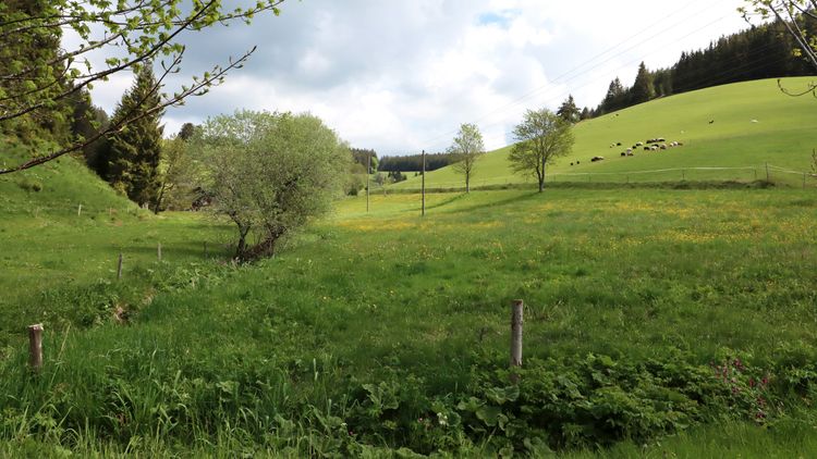 Am frü­heren Sei­ler­han­senhof