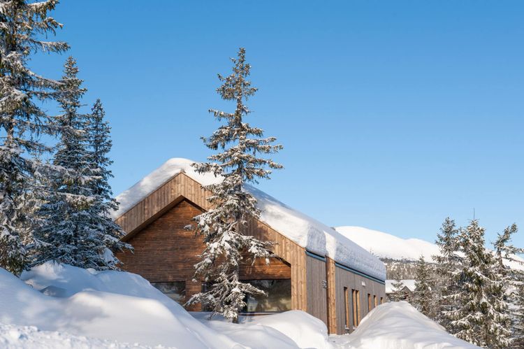Nor­wegian Wood Cabin T2027