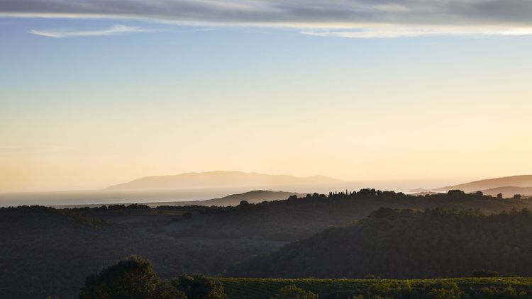 Maremma House