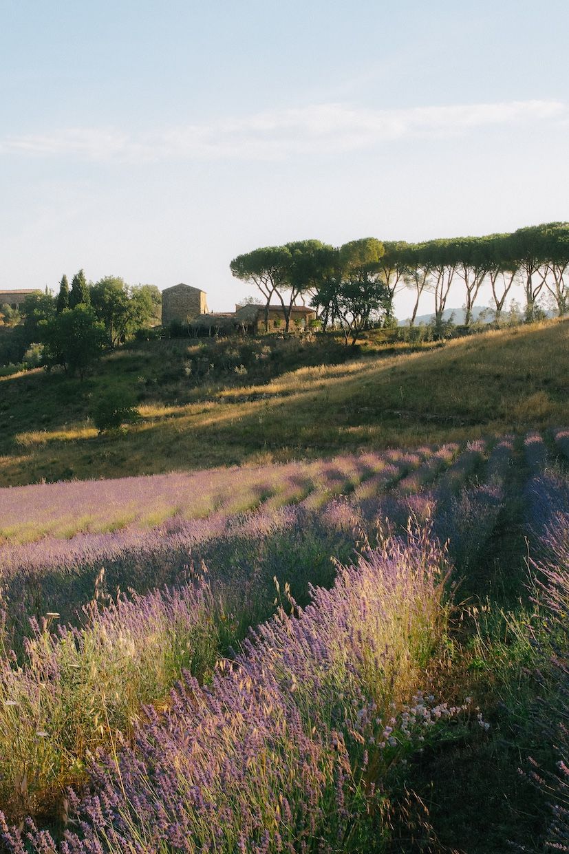 la-darbia-in-chianti_038