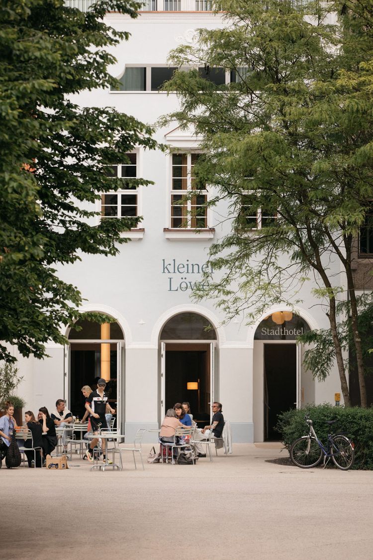 kleiner Löwe