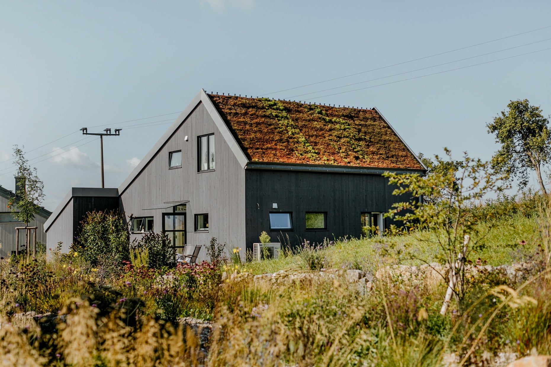 malsehn