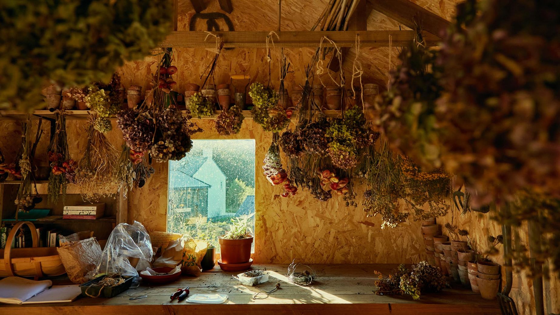 Between the Ele­ments