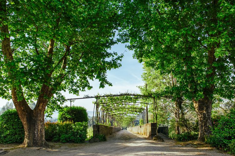 Quinta da Bouça D’Arques