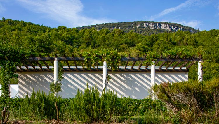 Villa Jones