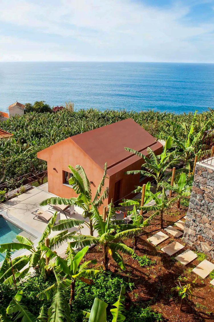 The Banana House