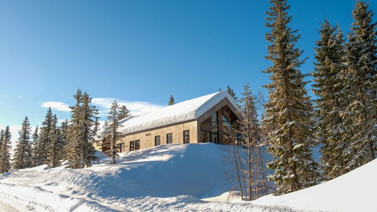norwegian wood cabin