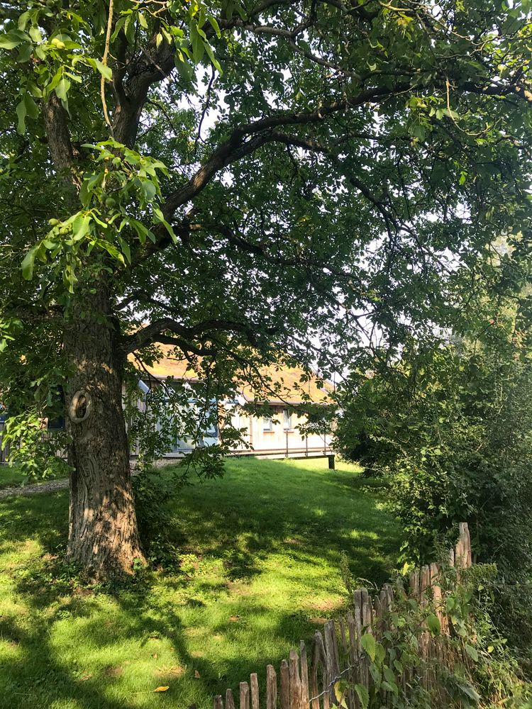 Gäs­tehaus Bro­wiede