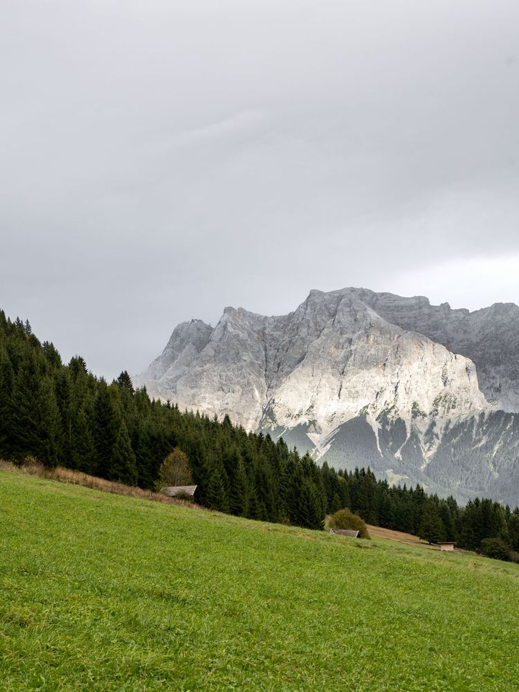 Ler­mooser