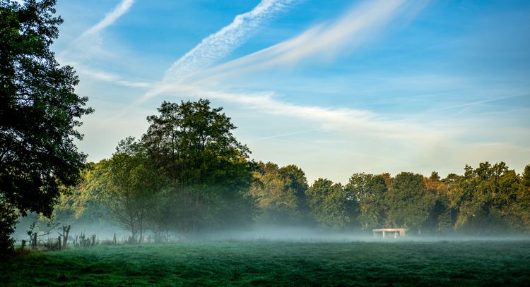 Waldhaus an der Wiese