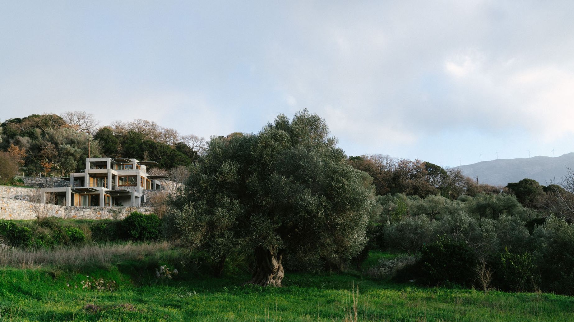Meraki Studios